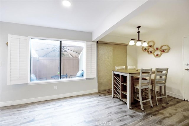 dining room with baseboards and wood finished floors