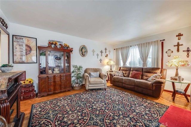 living area featuring wood finished floors