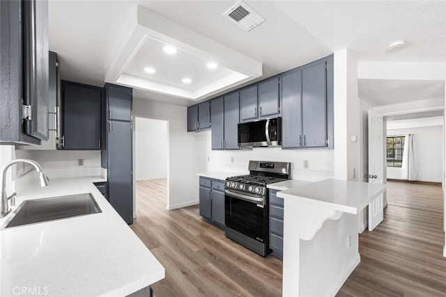 kitchen with a tray ceiling, recessed lighting, visible vents, a sink, and stainless steel appliances