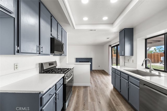 kitchen with recessed lighting, a sink, wood finished floors, a raised ceiling, and stainless steel appliances