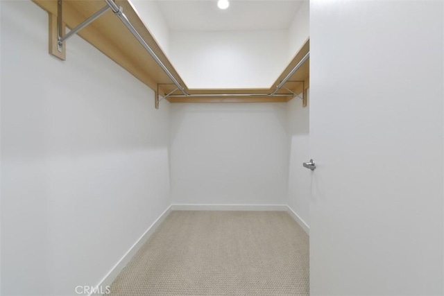 walk in closet featuring carpet flooring