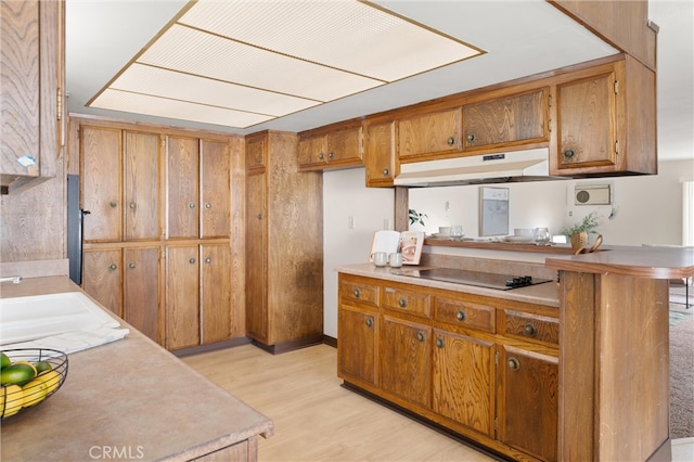660 Stanley Ave, Long Beach, CA 90814 - kitchen featuring under cabinet range hood, brown cabinetry, a sink, and light countertops