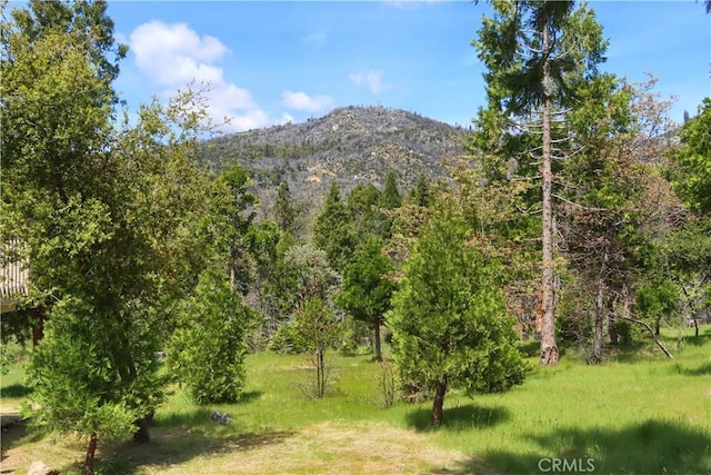 60027 Cascadel Dr S, North Fork, CA 93643 - view of mountain background