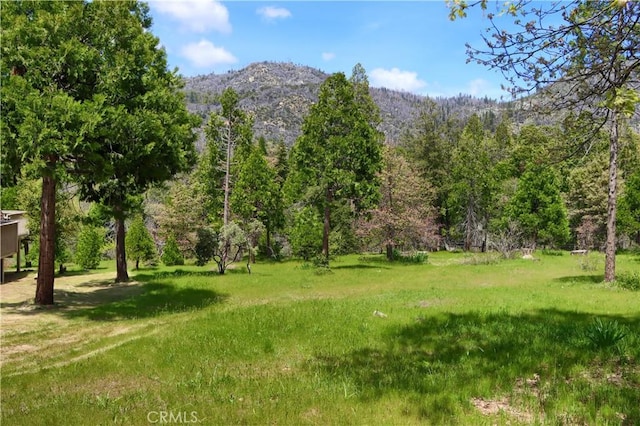 60027 Cascadel Dr S, North Fork, CA 93643 - view of yard featuring a mountain view and a wooded view