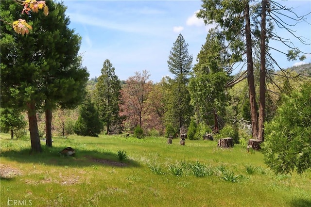 60027 Cascadel Dr S, North Fork, CA 93643 - view of yard