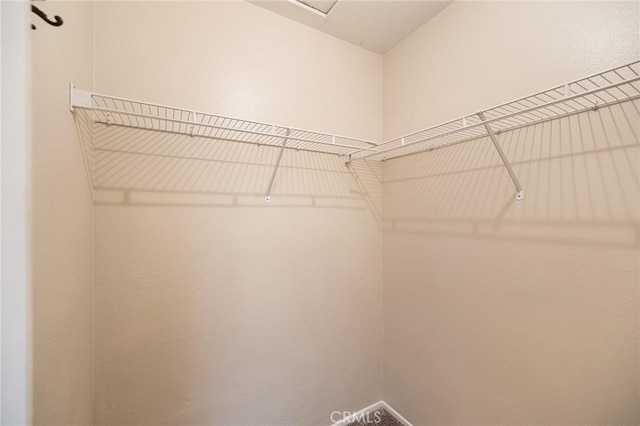 view of spacious closet
