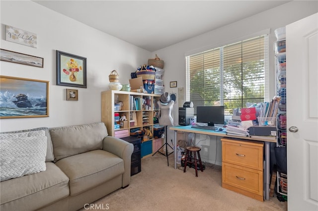 12200 White Rapids Way, Bakersfield, CA 93311 - office space featuring light carpet