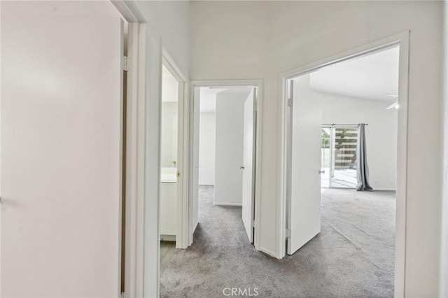 corridor with carpet floors