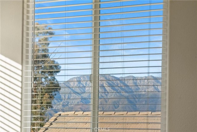 details with a mountain view