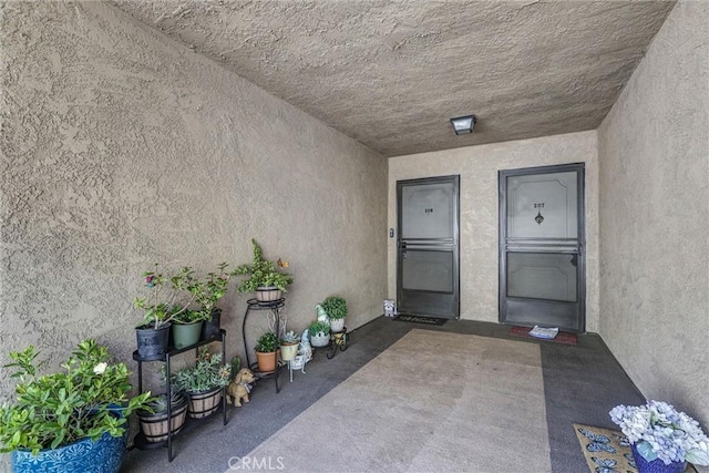 view of exterior entry with a patio and stucco siding
