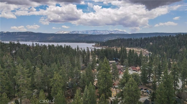 39177 Arapahoe Rd, Fawnskin, CA 92333 - view of mountain feature featuring a water view and a forest view