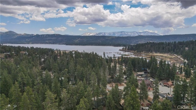 property view of mountains featuring a water view and a forest view
