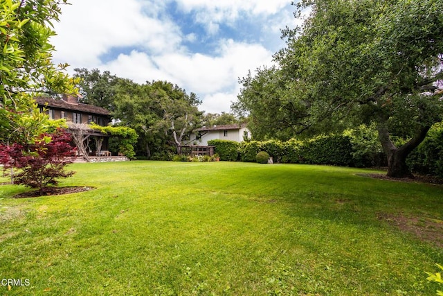 2041 Ashbourne Dr, South Pasadena, CA 91030 - view of yard