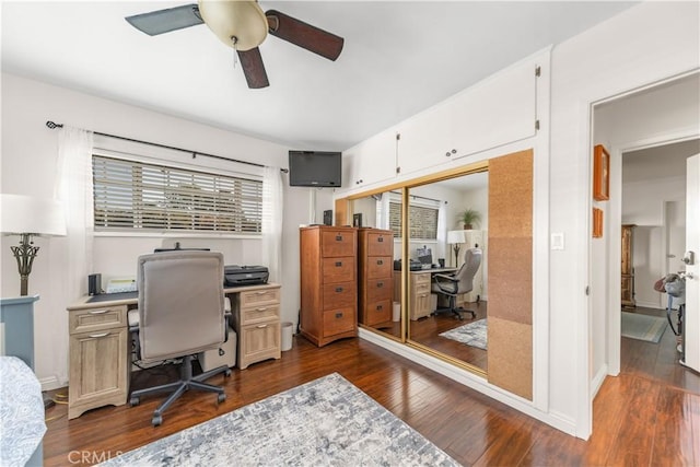 office space featuring a ceiling fan and dark wood-type flooring