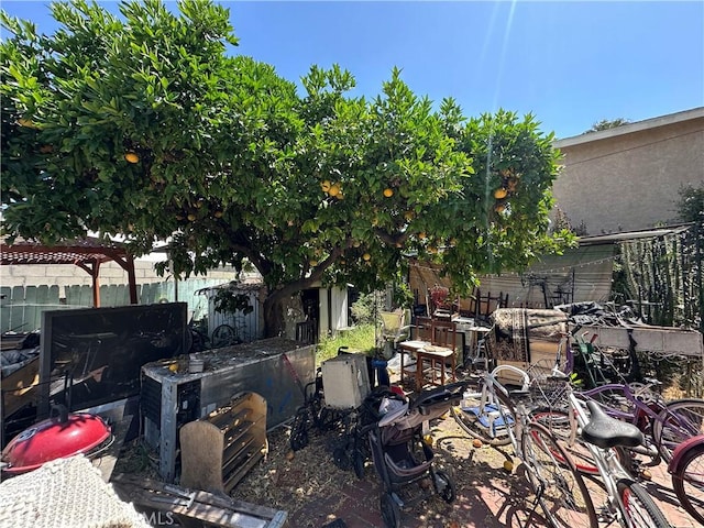 606 W 57th St, Los Angeles, CA 90037 - view of yard