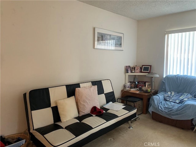 sitting room with a textured ceiling and carpet floors