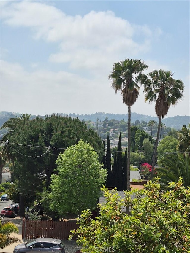 6023 Roy St, Los Angeles, CA 90042 - photo 8