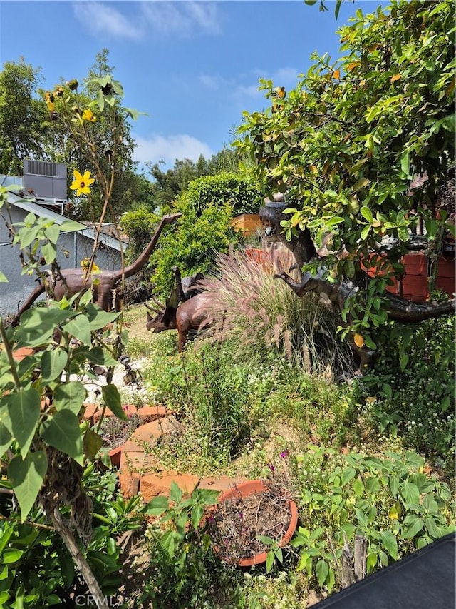 6023 Roy St, Los Angeles, CA 90042 - photo 2