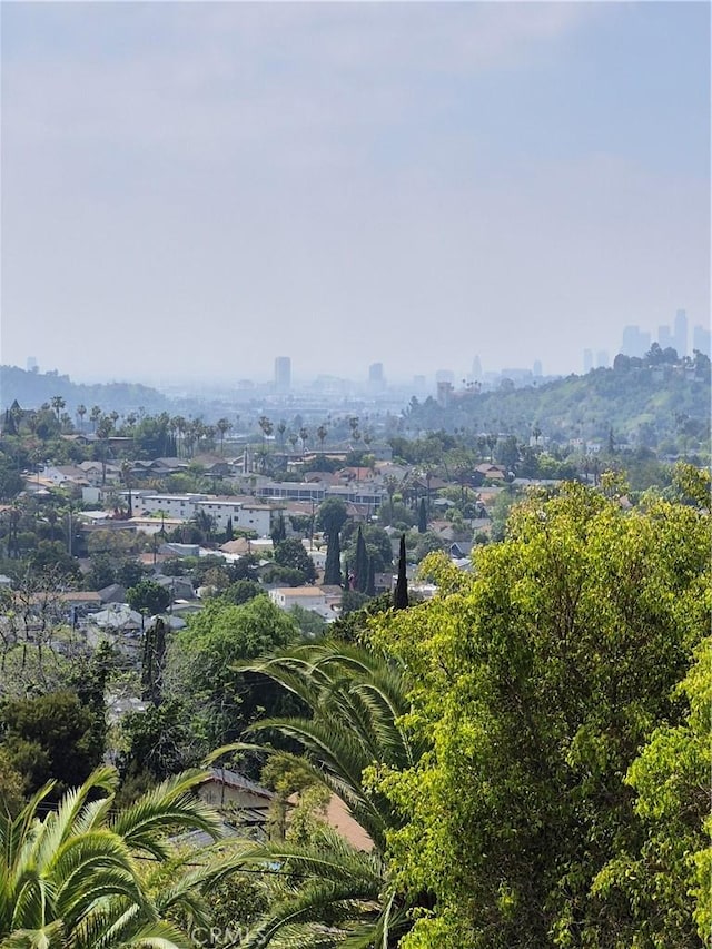 6023 Roy St, Los Angeles, CA 90042 - photo 30