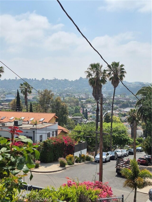 6023 Roy St, Los Angeles, CA 90042 - photo 9
