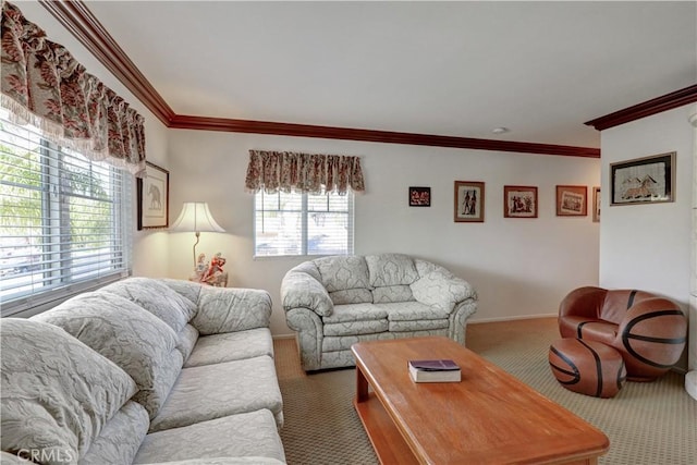 31710 Waterfall Way, Murrieta, CA 92563 - living area featuring crown molding, carpet flooring, and baseboards