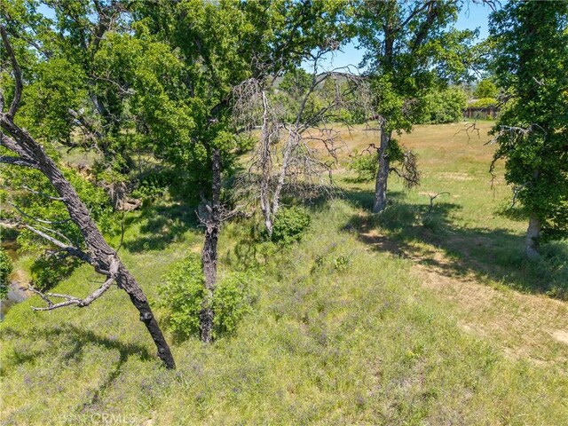 17105 Deer Park Dr, Lower Lake, CA 95457 - photo 26