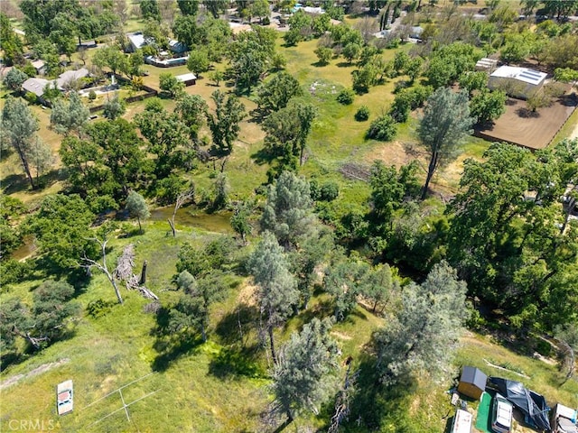 17105 Deer Park Dr, Lower Lake, CA 95457 - photo 3