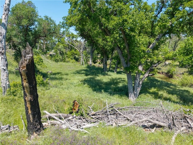17105 Deer Park Dr, Lower Lake, CA 95457 - photo 20