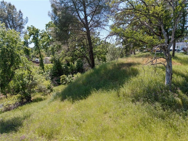 17105 Deer Park Dr, Lower Lake, CA 95457 - photo 17