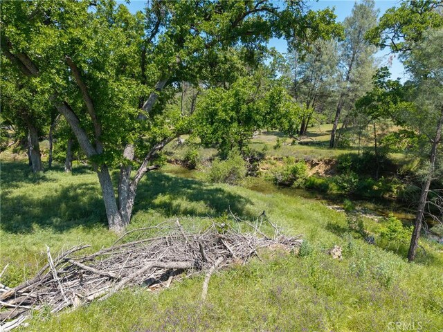 17105 Deer Park Dr, Lower Lake, CA 95457 - photo 19
