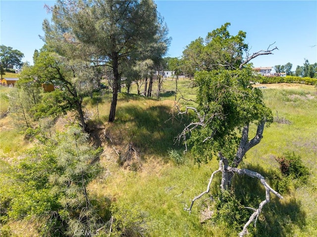 17105 Deer Park Dr, Lower Lake, CA 95457 - photo 7