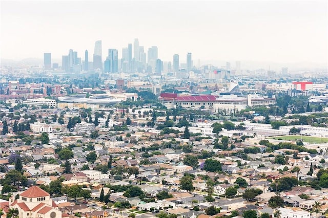 1449 W 45th St, Los Angeles, CA 90062 - skyline view
