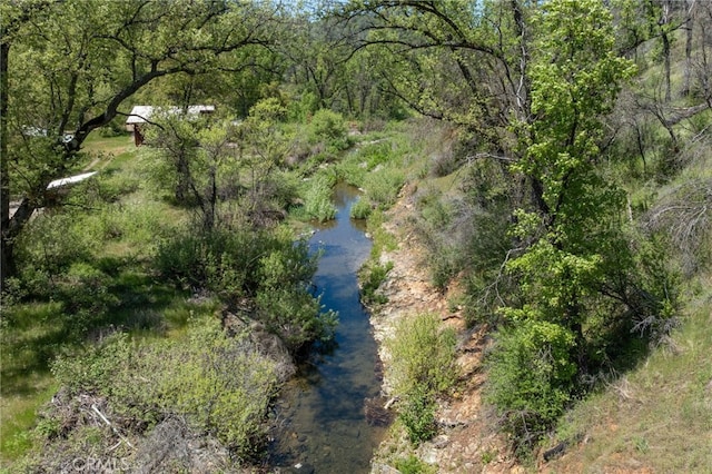 bird's eye view featuring a wooded view