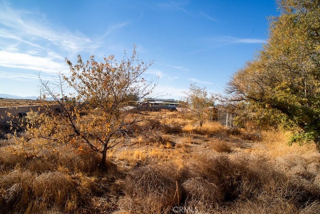 44315 88th St E, Lancaster, CA 93535 - view of nature