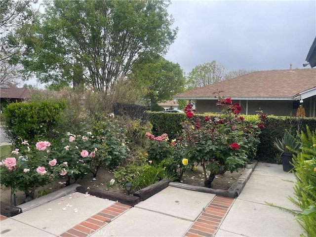view of yard featuring fence and a patio