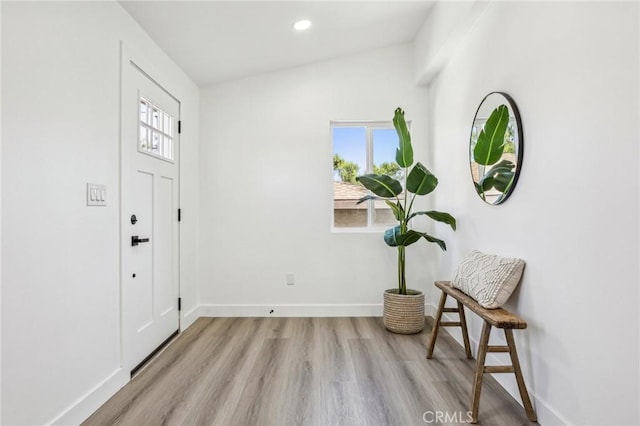 foyer entrance featuring baseboards, a wealth of natural light, and wood finished floors