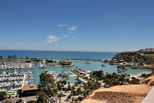 44 Corniche Dr Unit G, Dana Point, CA 92629 - water view with numerous boat docks