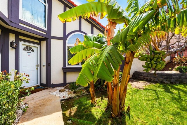 9387 Hot Springs Rd, Corona, CA 92883 - property entrance with a lawn and stucco siding