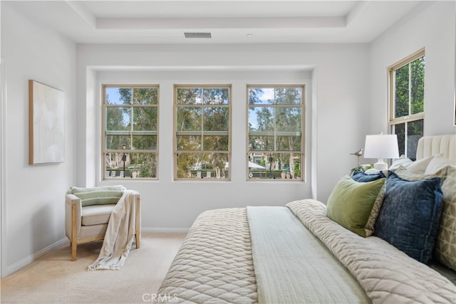 33 Jonquil, Irvine, CA 92618 - bedroom with light colored carpet, baseboards, and a tray ceiling