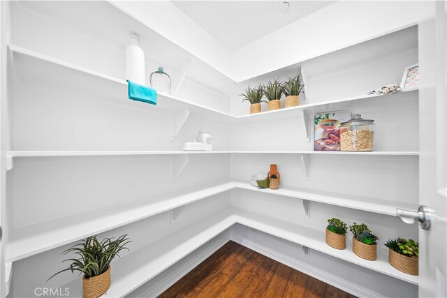 33 Jonquil, Irvine, CA 92618 - view of storage area