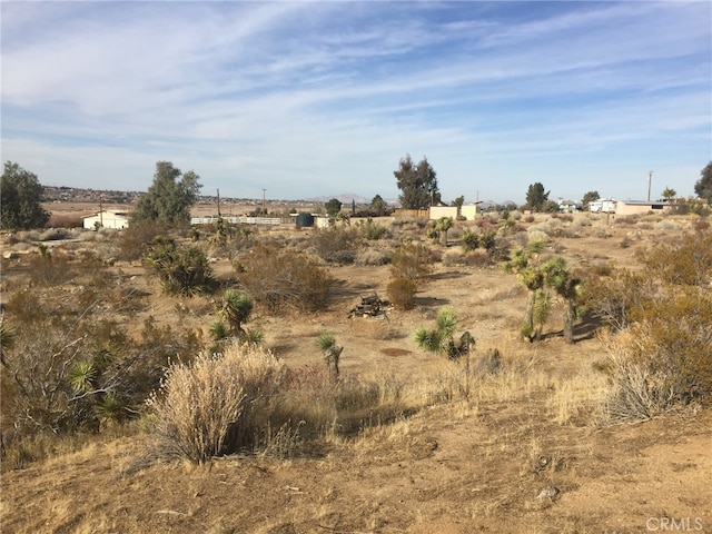 view of local wilderness with a rural view