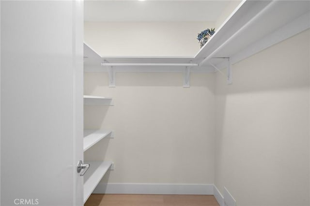 663 Via Los Altos Unit Q, Laguna Woods, CA 92637 - spacious closet with light wood-type flooring