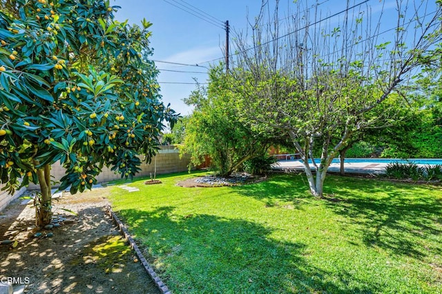 view of yard featuring a fenced in pool and a fenced backyard