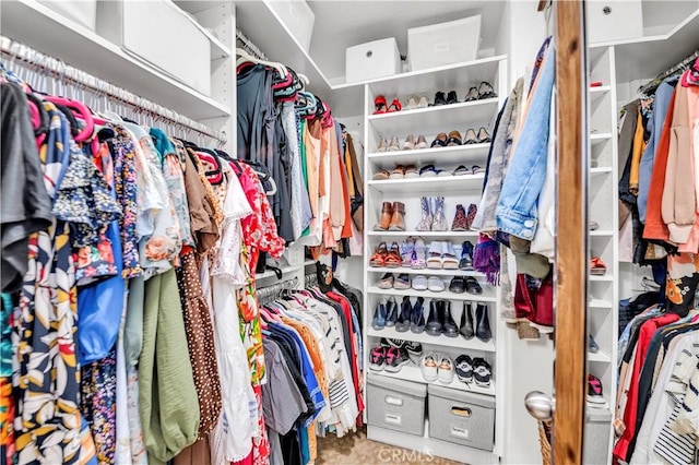 view of walk in closet