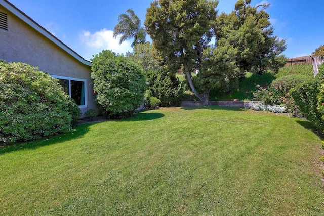 view of yard
