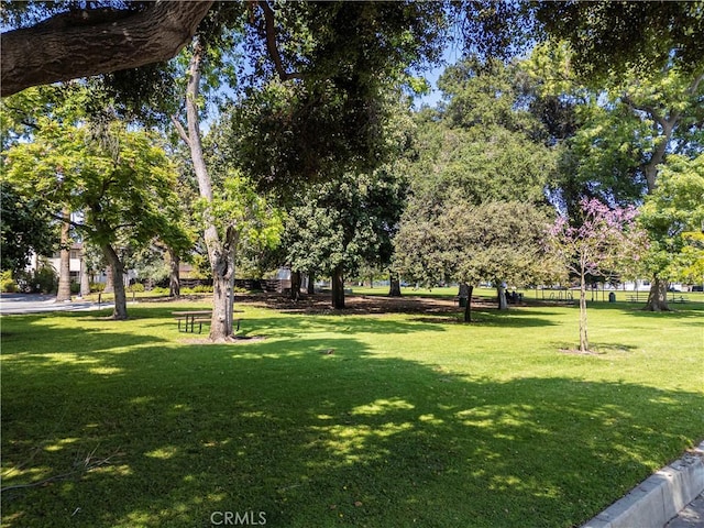 view of property's community featuring a lawn