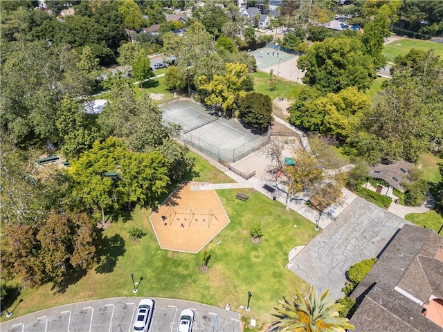 bird's eye view