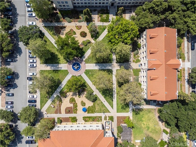 bird's eye view
