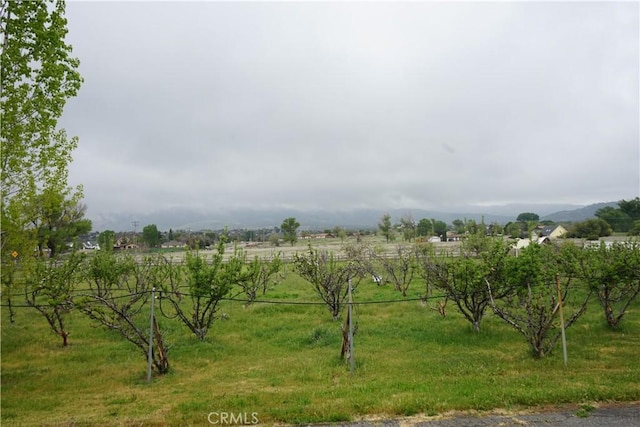 view of nature featuring a rural view