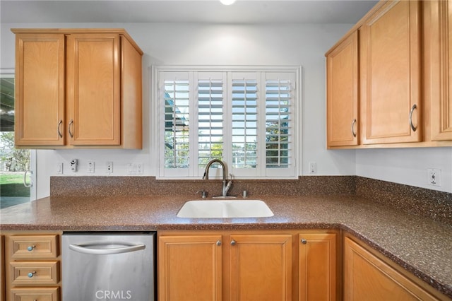 kitchen featuring a sink and stainless steel dishwasher